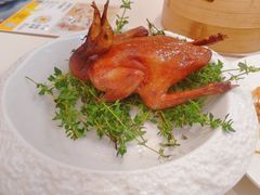 -蔡澜点心·粤菜(月星环球港店)