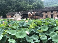 -上甘棠村