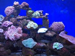 -长春中泰海洋世界