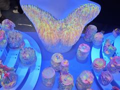 -上海跨国采购会展中心