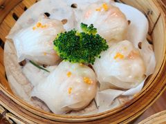 -山水茶艺馆·点心粤菜·30年老字号