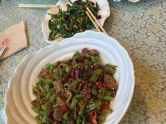 -文三里屯面馆(三里屯店)