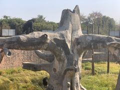 -南昌动物园