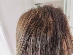 -E.L.K造型momopark店