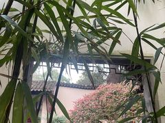 -秋霞圃