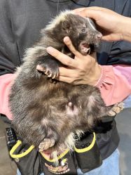 -Zoolung Zoolung动物主题公园(海信广场店)