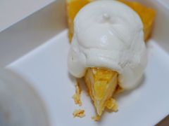-猫里有甜