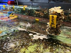 -九號渔港·蒸汽海鲜·粤菜茶点(八卦岭店)