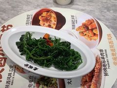 -老碗会·陕西手工面(中心书城店)