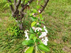 -南京金牛湖风景区