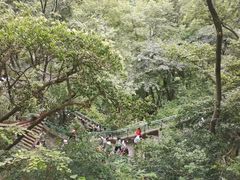 -黔灵山公园