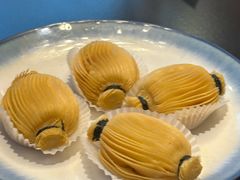 -金粤九号(李公堤店)