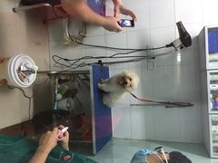 爱宠动物医院(下渡路店)-芭比堂动物医院(广州爱宠下渡路分院)