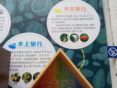-正佳雨林生态植物园