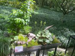 -灵隐飞来峰景区
