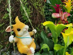 -石家庄市植物园