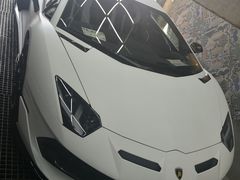 -枫花园汽车电影院(朝阳公园店)