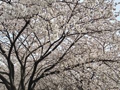 -玄武湖景区-情侣园游乐场