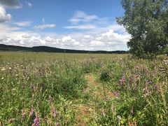 -塞罕坝国家级自然保护区