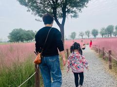 -汉长安城未央宫国家考古遗址公园