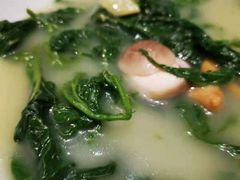 浓汤桑叶-广东道至正餐厅(区庄店)