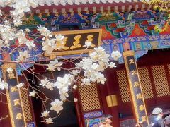 -护国法轮寺