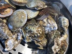-蓝珊甄选海鲜自助·火锅大排档(近阿那亚店)