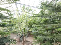 -呀路古热带植物园