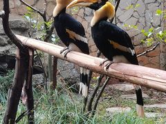-昆明动物园