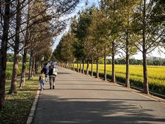 -嘉北郊野公园