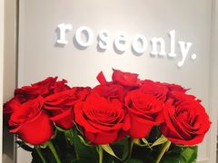 -ROSEONLY诺誓(沈阳万象城店)