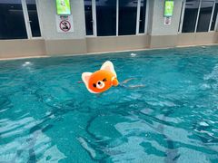 -常州武进九洲喜来登酒店