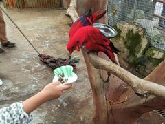 -昆明动物园