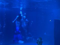 -石家庄海洋公园