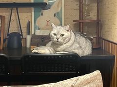 -隅cafe(傅厚岗店)
