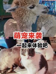 -萌宠亲子动物乐园(槐房万达店)