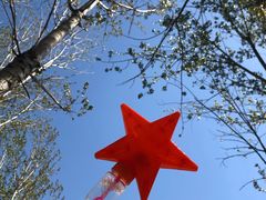 -东方巨龟苑景区