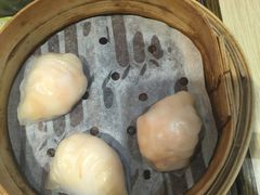 晶莹鲜虾饺-添好运点心专门店(北角店)