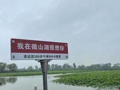 -微山湖红荷湿地景区