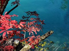 -叠溪松坪沟景区