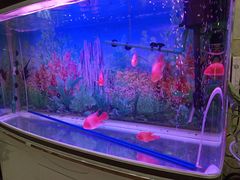 -王老实筋头巴脑锅里壮(泊头店)