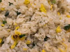 特色臊子蛋炒饭-嘉州叶婆婆钵钵鸡(建设路店)