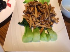 -船歌·鱼水饺青岛菜(金狮广场店)