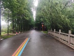 -日照海滨国家森林公园