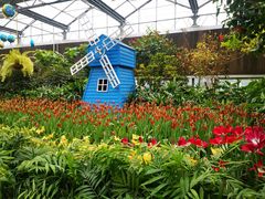 -南宫五洲植物乐园