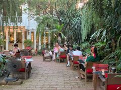 -Fern Forest Cafe
