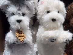 -番茄口袋(上海普陀区环球港店)