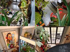 -nodcafe(M50创意园店)