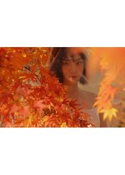 -DREAM HOUSE 梦想屋婚纱摄影