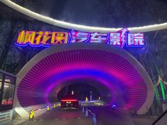 -枫花园汽车电影院(朝阳公园店)